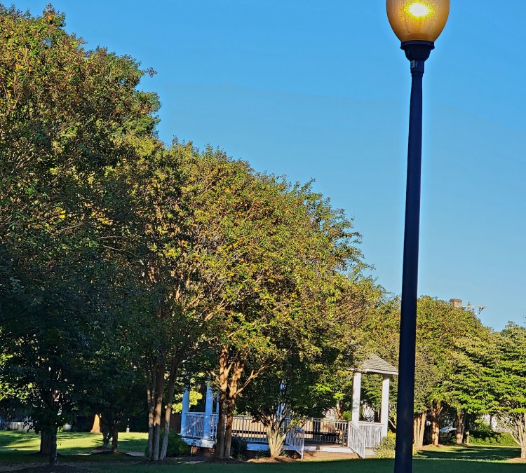 library-park-photo